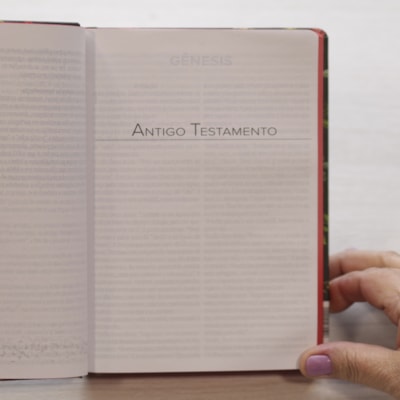 image_f89b1e81-3867-4f23-85ec-0fb5c8c12c93