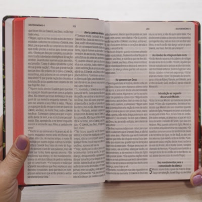 image_96c3a6d2-af05-4b7a-b21d-347039cde00d