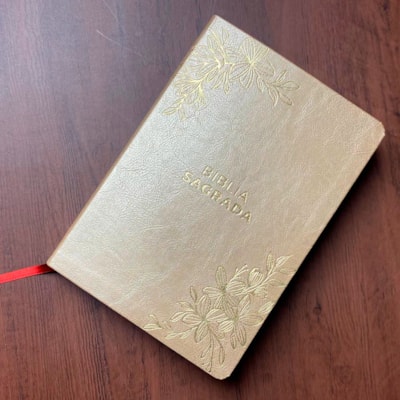 image_ffcc048d-3fe0-4b27-95d5-81ebe228e077