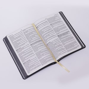 Bíblia Sagrada Flores Douradas Slim | NVT | Letra Maior | Capa Luxo Dourada