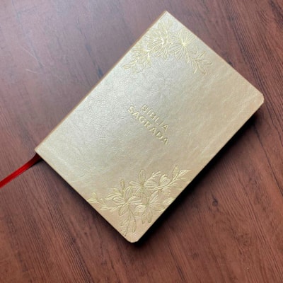 image_4a1ef550-82da-4001-9ff4-5ad4947f9053