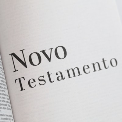 image_d71ffe49-40f4-4fd2-893c-4fb4122743ac