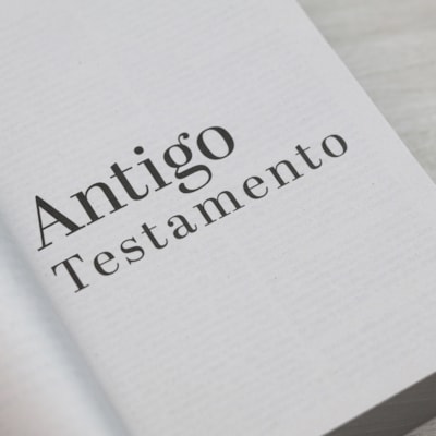 image_c3f3d044-21c6-4c6e-8008-e76cd0d3d962