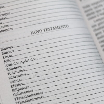 image_0b5e1095-b053-4867-83b3-e9cd222c2f1a