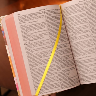 image_61236685-084e-4338-8bdf-8b5783785507