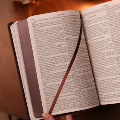 image_2969128f-c74e-47b7-879c-8105afce51e3