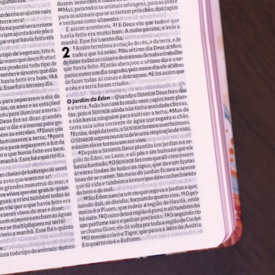 image_fb77bed7-af89-4c42-88a1-3b65459875c7