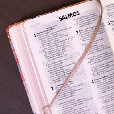 image_e648f37e-9b64-4618-9465-79151ba92091