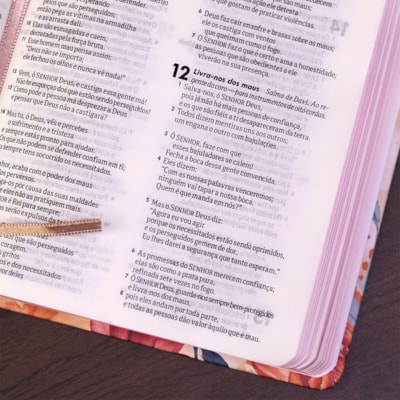 image_4b696a55-52dc-403c-a8e5-fccce327d544