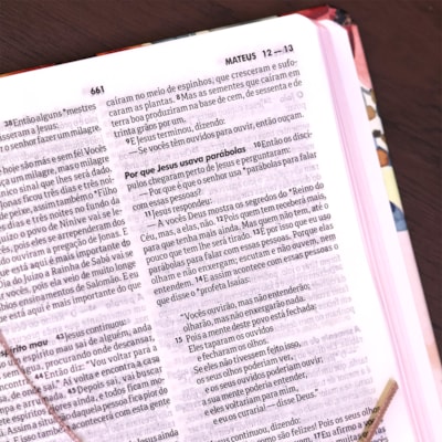 image_86bd002a-004b-4a49-8202-51defcdf9614