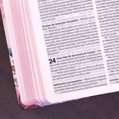 image_4f0bf069-b811-4c33-8b8d-e806d04bfe5e