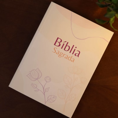 image_67080e95-e062-45e1-a37e-d525fec93364