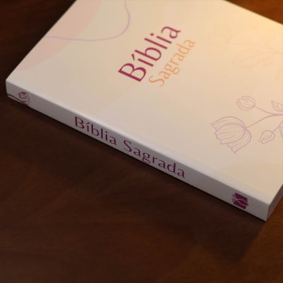 image_8c827369-c1d6-4d61-bbed-19537fe6d4a0