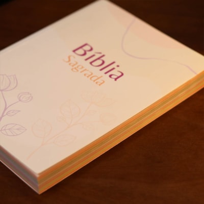 image_b32d6557-0f72-43d7-b44e-eeeb0b34e77a