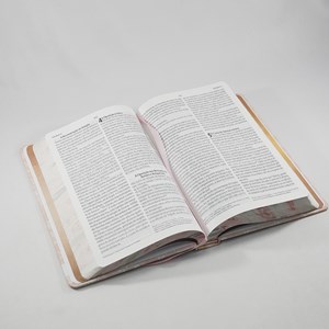 Bíblia Sagrada Flores Preta | NVI | Letra Gigante | Capa Dura