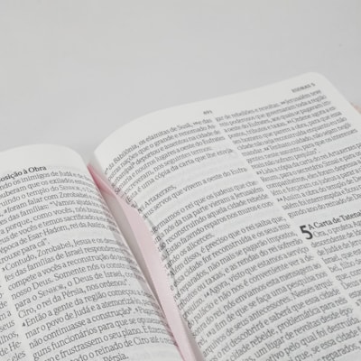 image_e040d7ea-6384-4664-87a8-b20f3dcbfa01