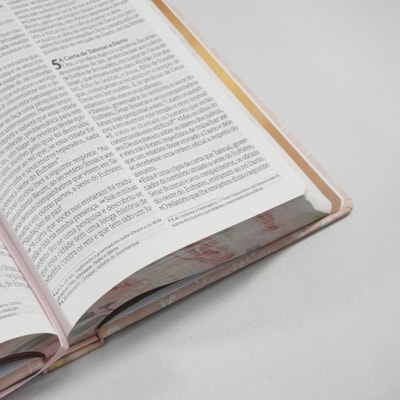 image_2d93ed43-d684-451a-9446-d11f442886f5