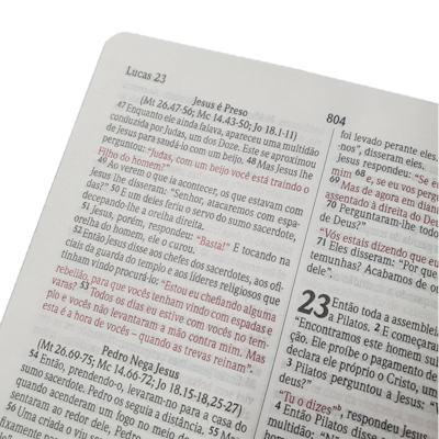 image_eeb3c364-8b4c-4972-b9d8-e54e051aa02b