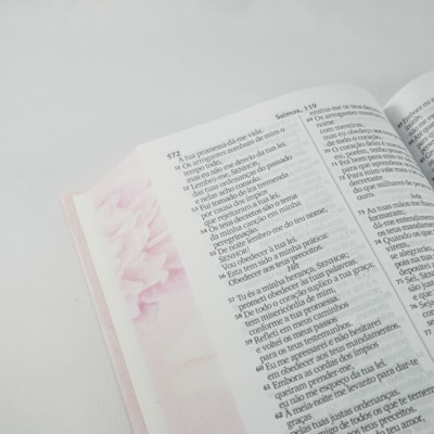 image_74b2324d-7740-4269-893c-d5bd794b1fe3