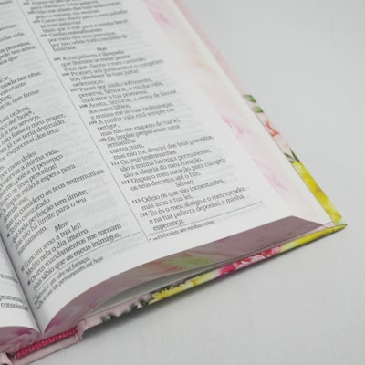 image_79a497bc-428f-4c0c-891d-dcbe039d1ade