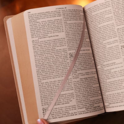 image_ac04b1f3-e8e4-4d92-90a7-5366f3c2f35e