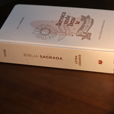 image_56d8bb6e-db8c-495c-9de8-64f6aeca0c5a