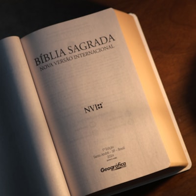 image_88e696c8-4f8f-4c3e-8747-cb8e053fe4e6