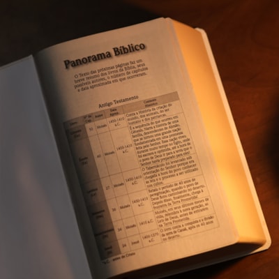 image_091547c6-b2bc-4a74-9d7b-70db8a6fb8b2