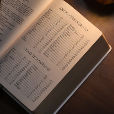 image_c4d67cd6-4dc4-4169-acc7-61bfadec8342