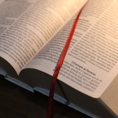 image_74ed1bab-28ec-4b6e-add6-df89838afc69