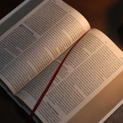 image_03857355-82fa-4ad1-bf53-e558421f7253