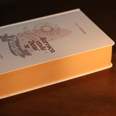 image_82698b7e-bf84-4fe3-bec6-e6d3a144b17b