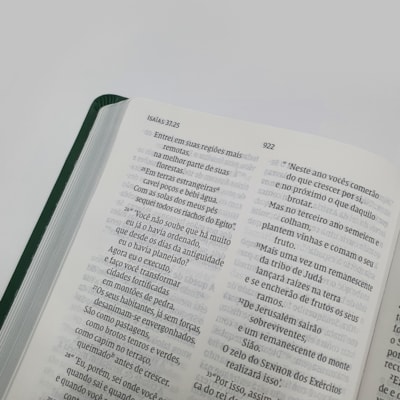 image_6945f22f-afef-4b03-8e84-e4194510eb4f