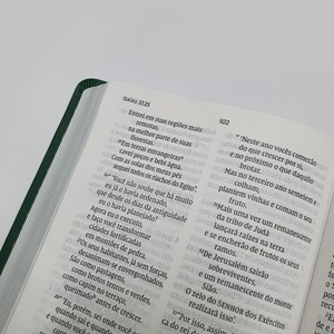 Bíblia Sagrada Folhagem | NVI | Letra Grande | Capa Verde e Rosa