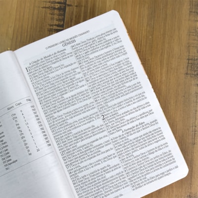 image_20573986-0af4-46ac-af8e-c0d9ef8d833d