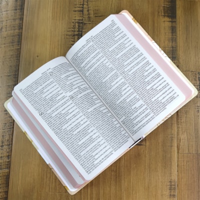 image_6c116580-9a36-445f-aa3d-535a39e4ac3c