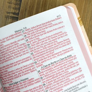Bíblia Sagrada Folhagens Rosa| ARC | Letra Gigante | Capa Dura | Harpa Avivada e Corinhos