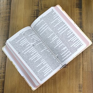 Bíblia Sagrada Folhagens Rosa | ARC | Letra Grande| Capa Dura | Harpa Avivada e Corinhos