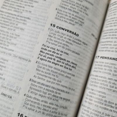 image_279f7972-b86d-4a01-ada2-a0c924d0811c