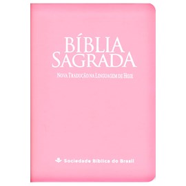 Bíblia Sagrada Fonte de Bênçãos | NTLH | Letra Maior | Capa Luxo Clássica Rosa