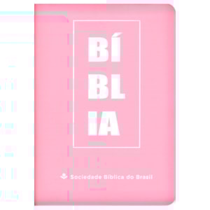 Bíblia Sagrada Fonte de Bênçãos | NTLH | Letra Maior | Capa Luxo Rosa