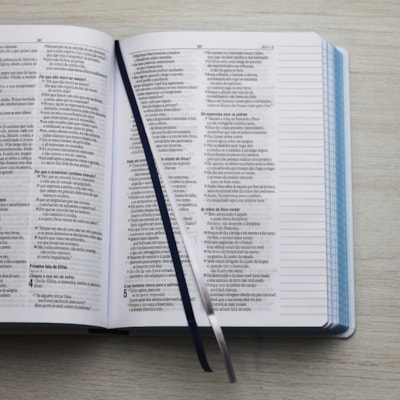 image_b688cdb3-4ac3-42bc-a6b7-b965c2ff7c5b