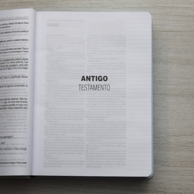 image_24050537-8f1e-45ea-b04a-462cf4dada4a