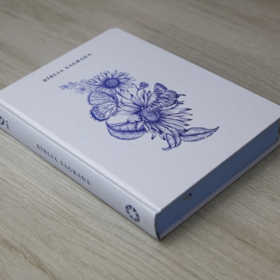 image_0e6deff4-e115-4a00-9e75-6dab7810c6af