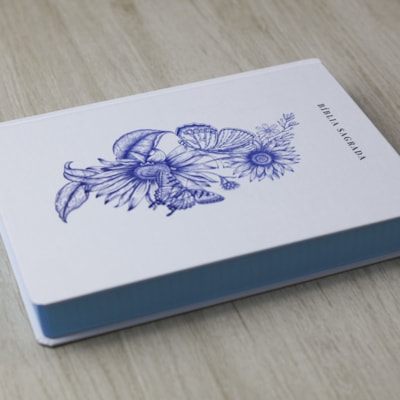 image_d916f169-f7ef-4840-9ad8-4f72c03fba0c