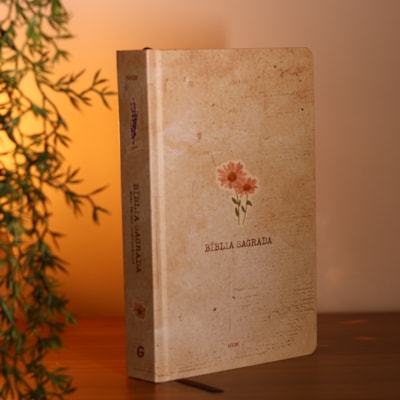 image_714f1c7a-b7b9-45f4-b752-1f8b5dbdf498