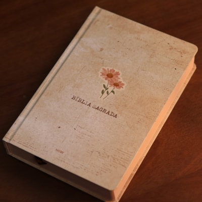 image_a28967ea-d128-4727-ab76-ee7e34497aa2