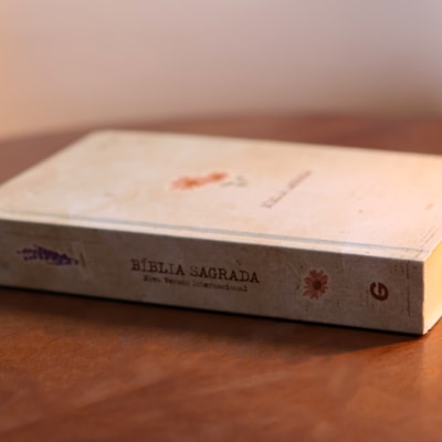 image_99d81aea-1e78-48eb-9efc-e2b17e626beb