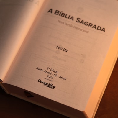 image_b46c8d4a-fbc6-4ea8-b524-339f5b88d098