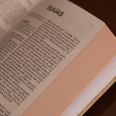 image_4993811b-58bc-481f-b476-c062c48bdbf2